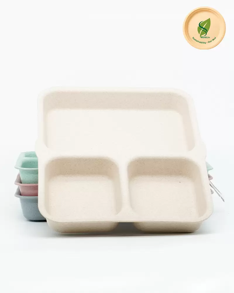 Eco Kids 3 Partition Plate - Angle 2