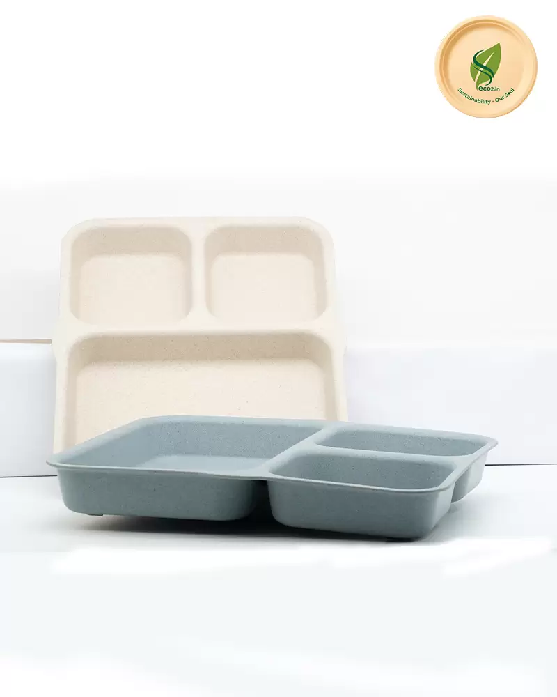 Eco Kids 3 Partition Plate - Angle 5