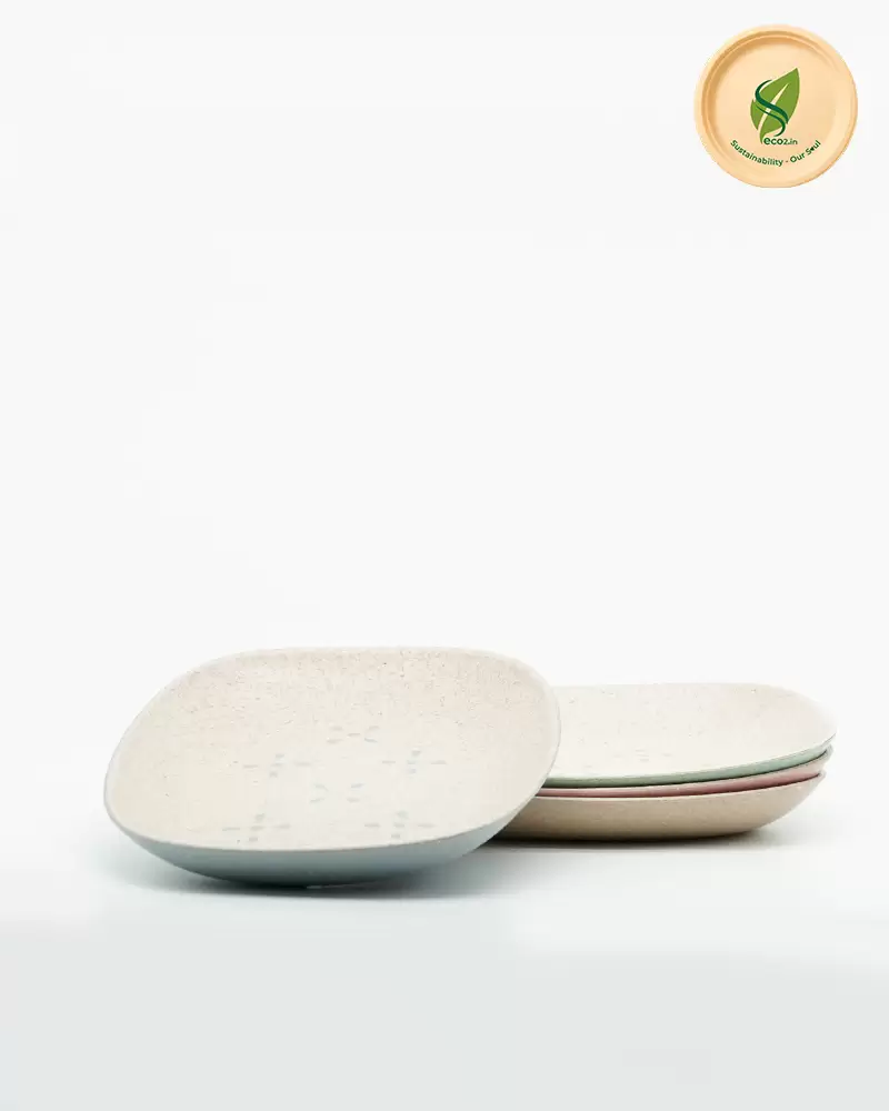 Eco Quick  Snack Plate - Angle 2
