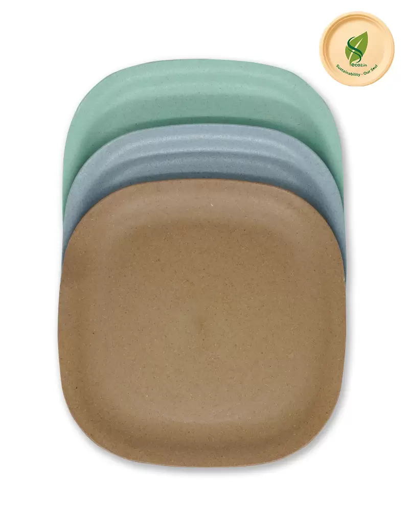 Eco Square Meal Plate Small - Angle 1