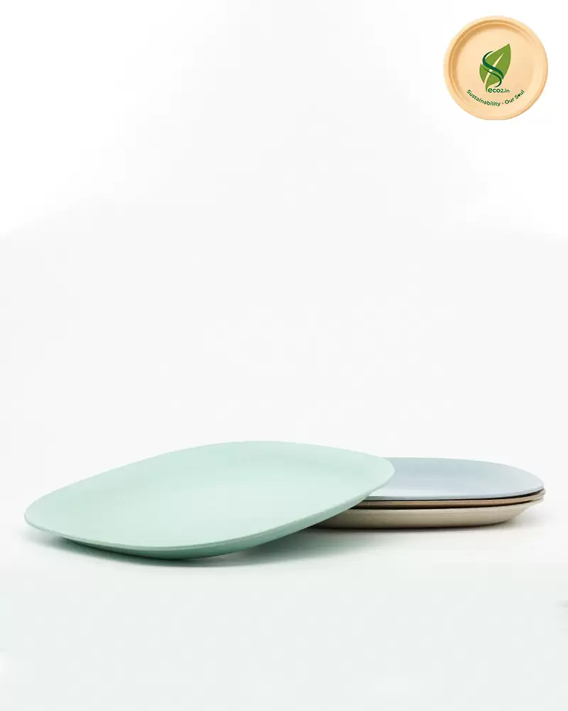 Eco Square Meal Plate Small - Angle 2