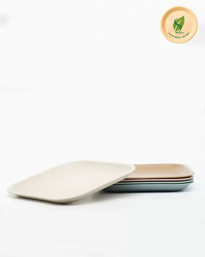 Eco Square Meal Plate Big - Angle 1