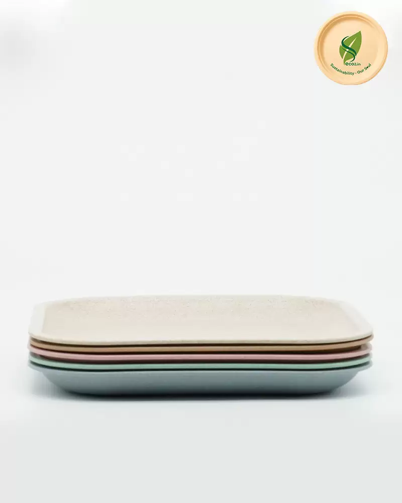 Eco Square Meal Plate Big - Angle 2
