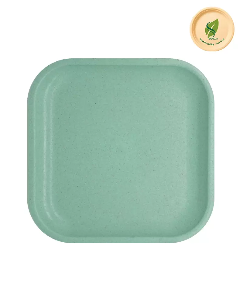 Eco SS Plate - Angle 1