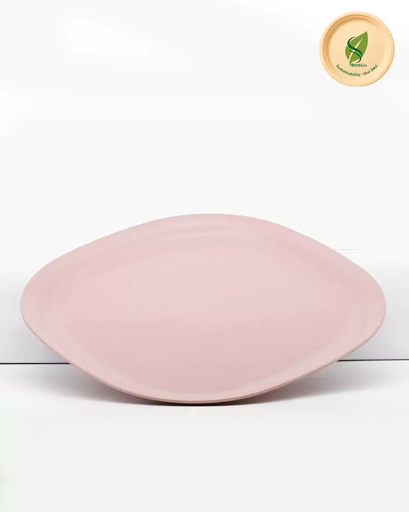 Eco SS Plate - Angle 3