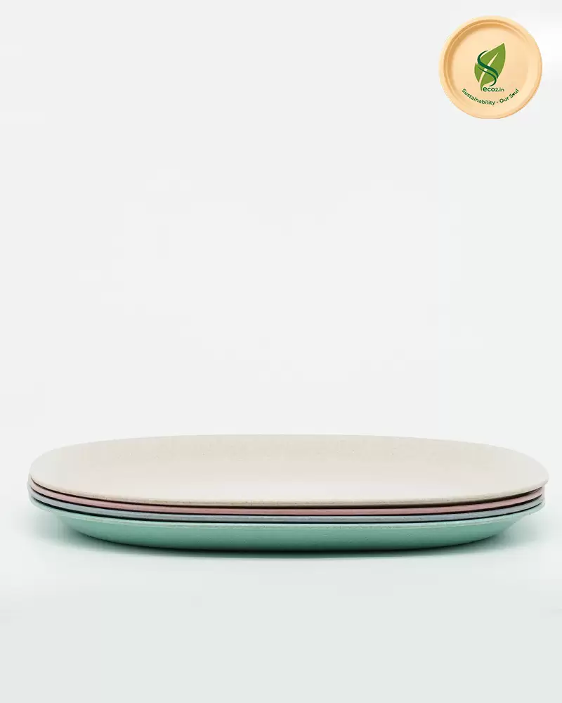 Eco SS Plate - Angle 4