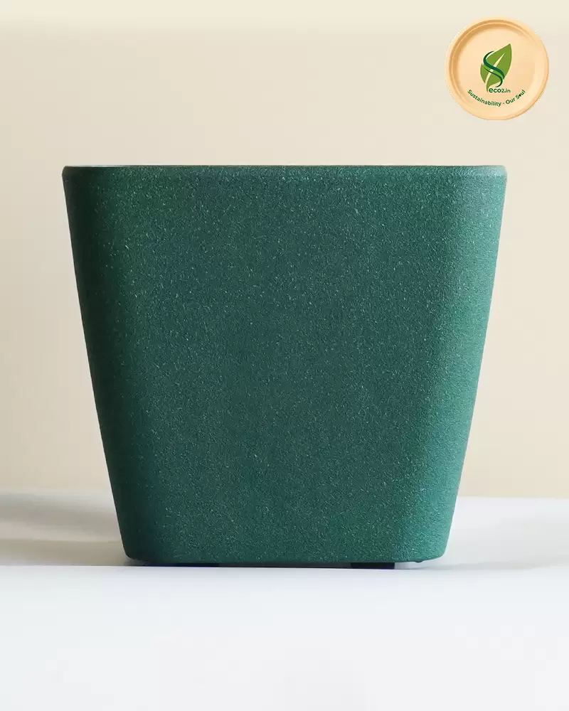 Eco Royal Daisy Planter - Angle 1