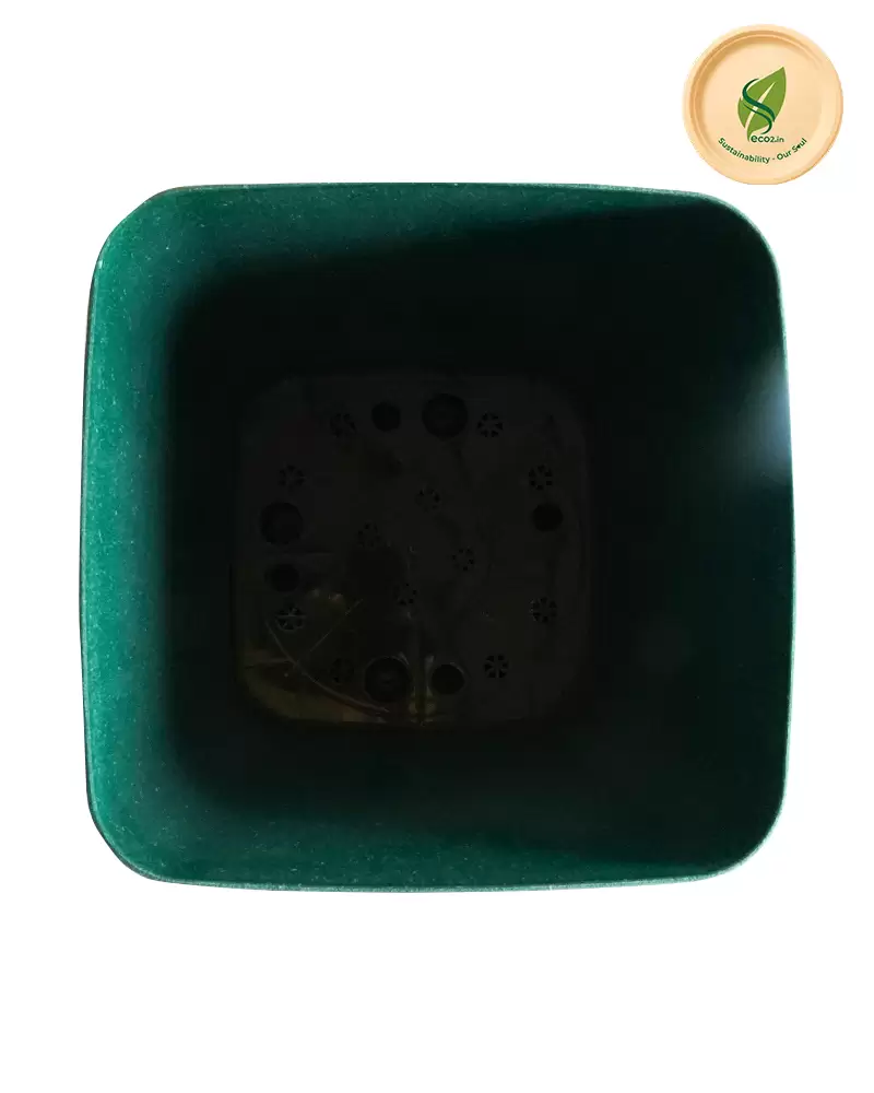 Eco Royal Daisy Planter - Angle 3