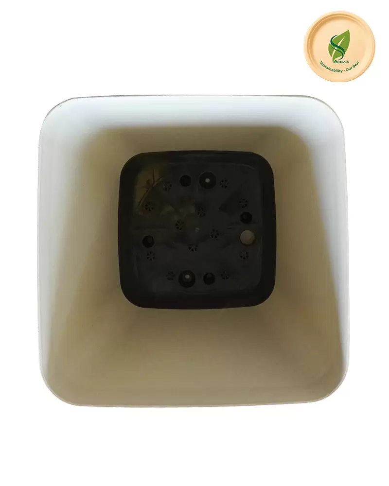 Eco Royal Daisy Planter - Angle 5
