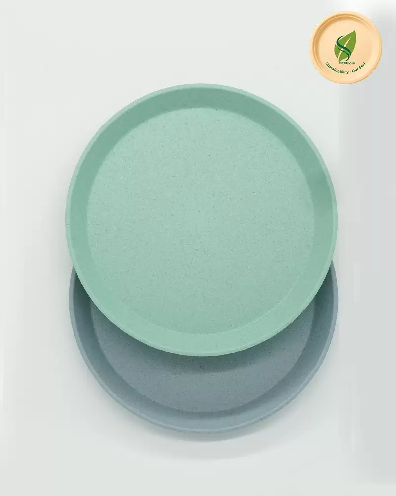 Eco Kids Round Plate