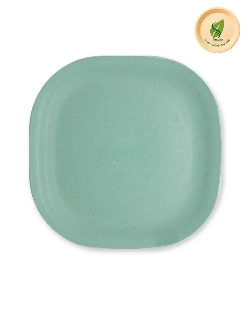 Eco Square Meal Plate Small
