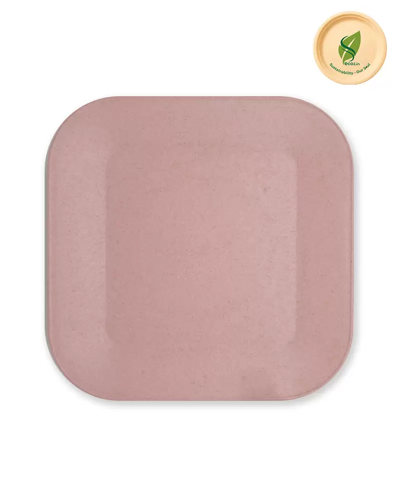 Eco SS Plate