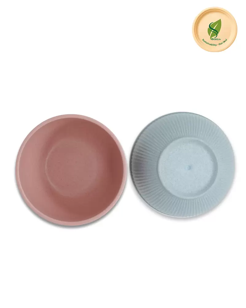Eco Statement Bowl
