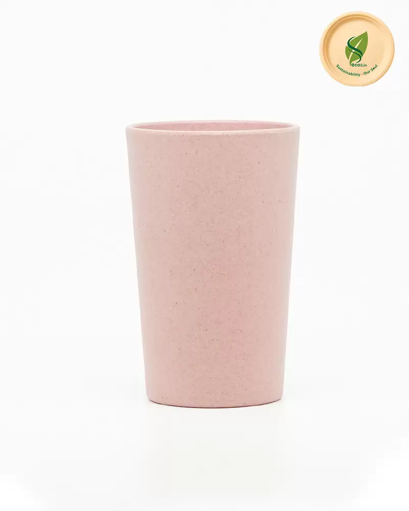 Eco Frost Tumbler
