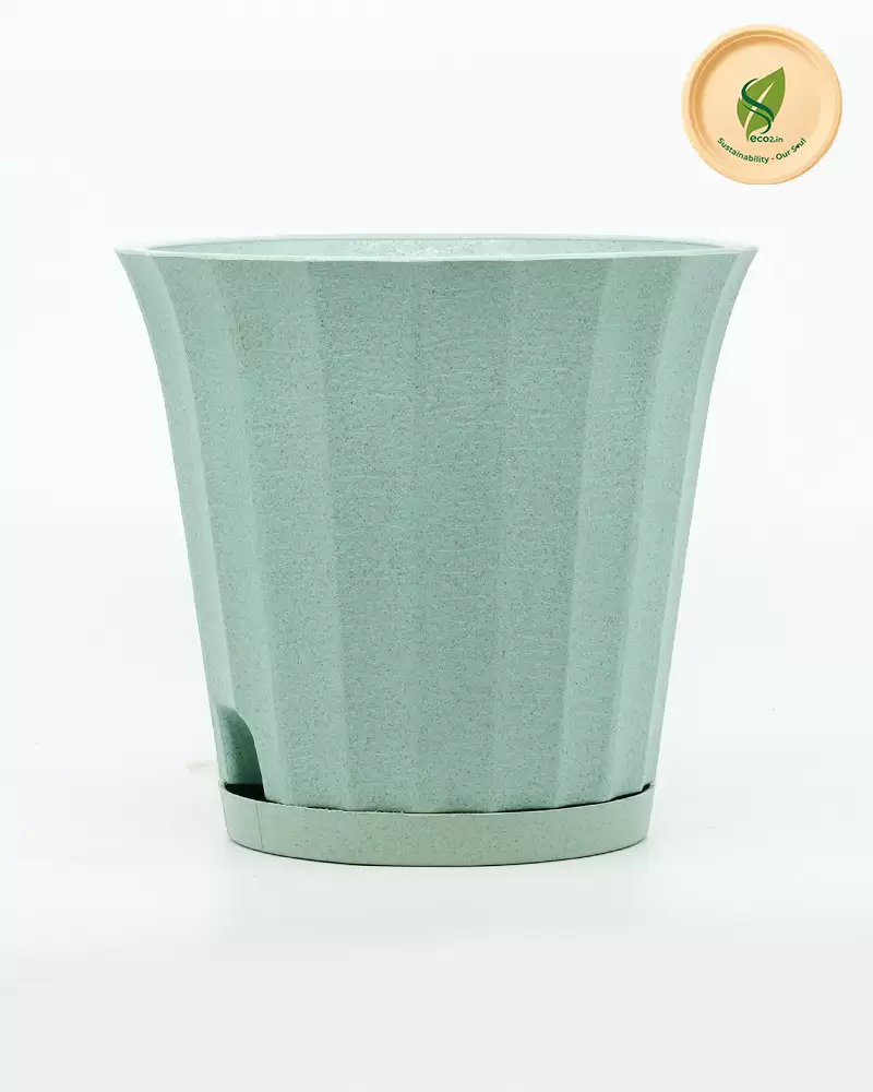 Eco Shine Ace Planter
