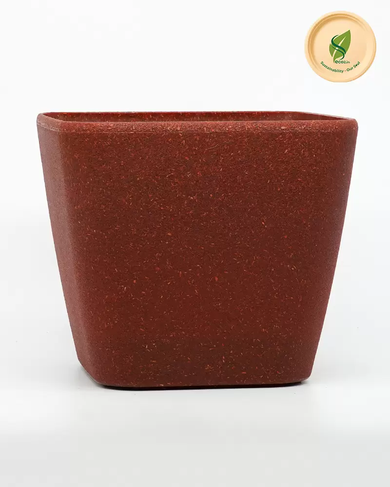 Eco Royal Daisy Planter