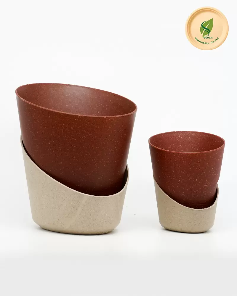 Eco Style Bloom