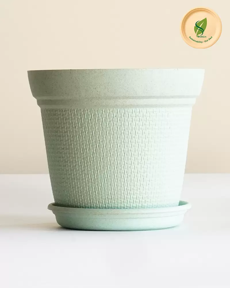 Eco Mood Planter